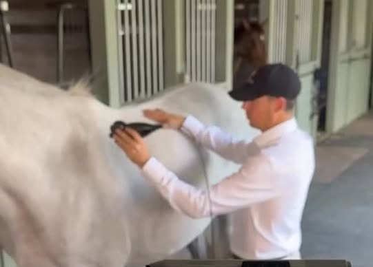 The Alpha Wellness operator working the handheld cryotherapy device along a white horse's back at the stable